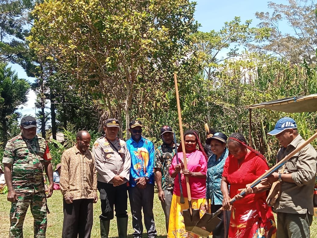 Polsek Asologaima Hadir dan Amankan Panen Raya Ubi Jalar di Wamena