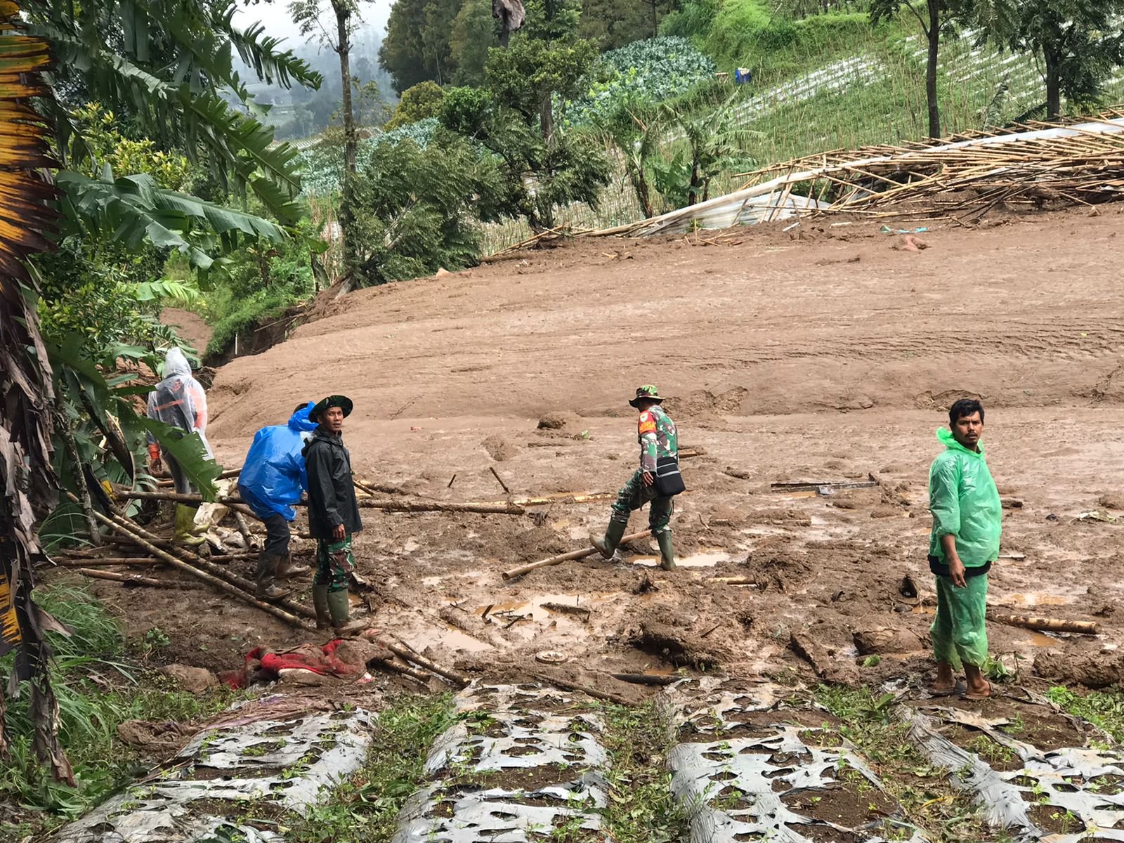 Bencana Longsor Terjadi Di Kaki Gunung Burangrang Kab. Bandung Barat