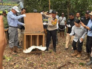Polsek Muting Bersinergi dengan KSDA Lepasliarkan Satwa Dilindungi di Rawa Bian