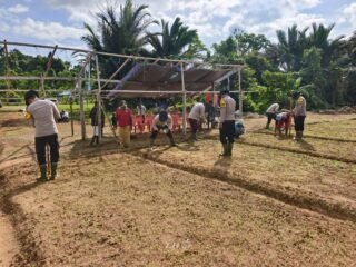 Polsek Bonggo Dorong Ketahanan Pangan, Bersama Petani Tanam Kacang Tanah di Kampung Rotea