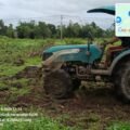 Dukung Ketahanan Pangan, Polsek Kurik Manfaatkan Lahan Produktif untuk Penanaman Jagung dan Rumput Gajah 