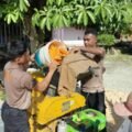 Polres Jayapura Lanjutkan Pengolahan Hasil Panen Jagung, Perkuat Program Ketahanan Pangan Nasional