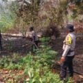 Cegah Api Merembet ke Pemukiman, Polres Biak Numfor Padamkan Karhutla di Dua Titik 