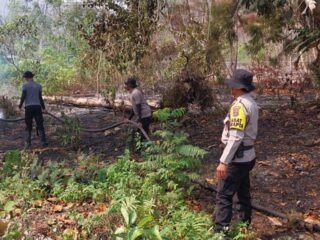 Cegah Api Merembet ke Pemukiman, Polres Biak Numfor Padamkan Karhutla di Dua Titik 