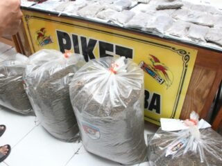 Polda Papua Ungkap Hasil Operasi Sarang Narkoba, Sita 20 Kg Ganja dan 164,6762 Gram Sabu